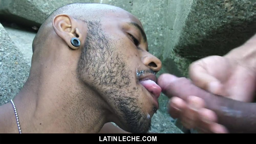 Latin Leche Numero 91 Fucking A Stranger Gay Porn By RedixxMen