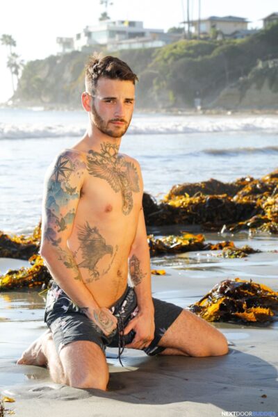 Tattooed Studs: Vincent O'Reilly Pounds Michael Woods