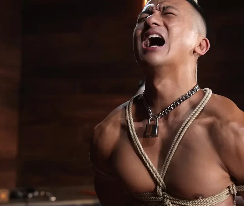 The Puzzle Box: Marco Napoli & Zed Sheng - KinkMen 7