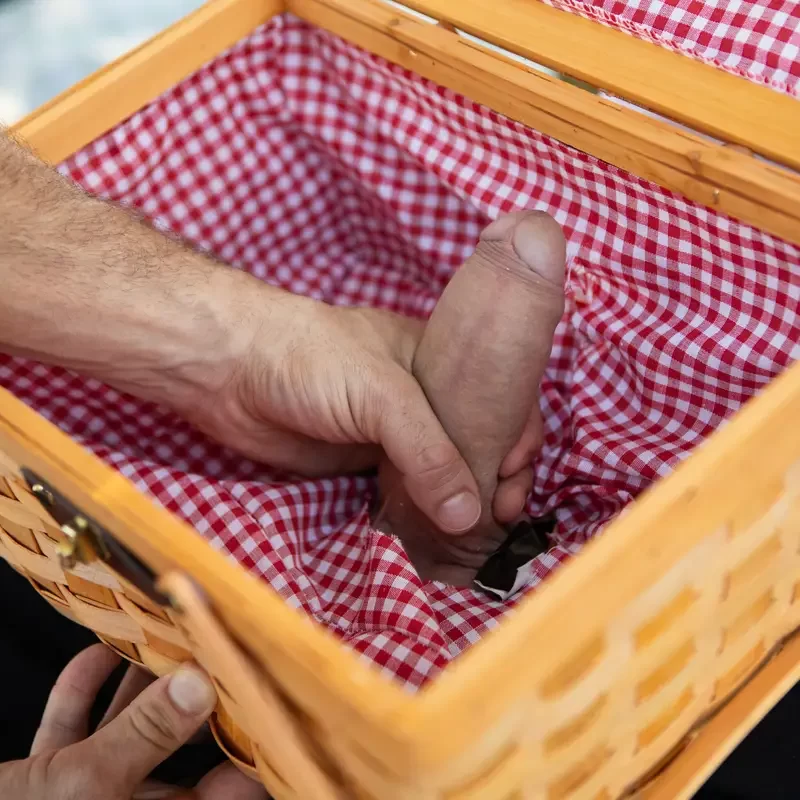 Dick At The Picnic: Dom King & Malik Delgaty 7