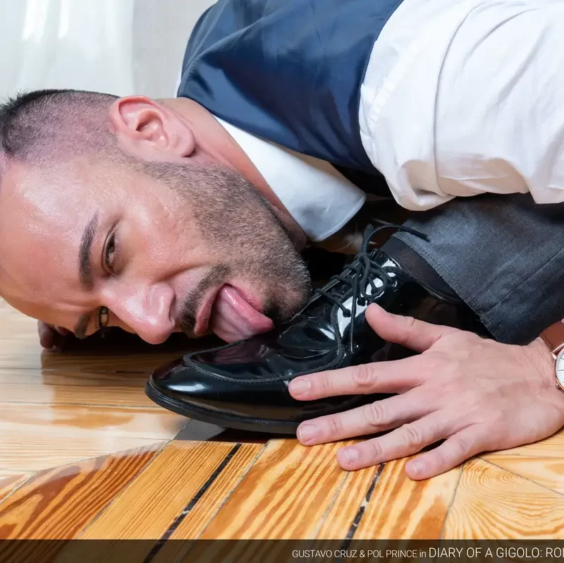 Diary of a Gigolo: Role Play - Gustavo Cruz & Pol Prince 7