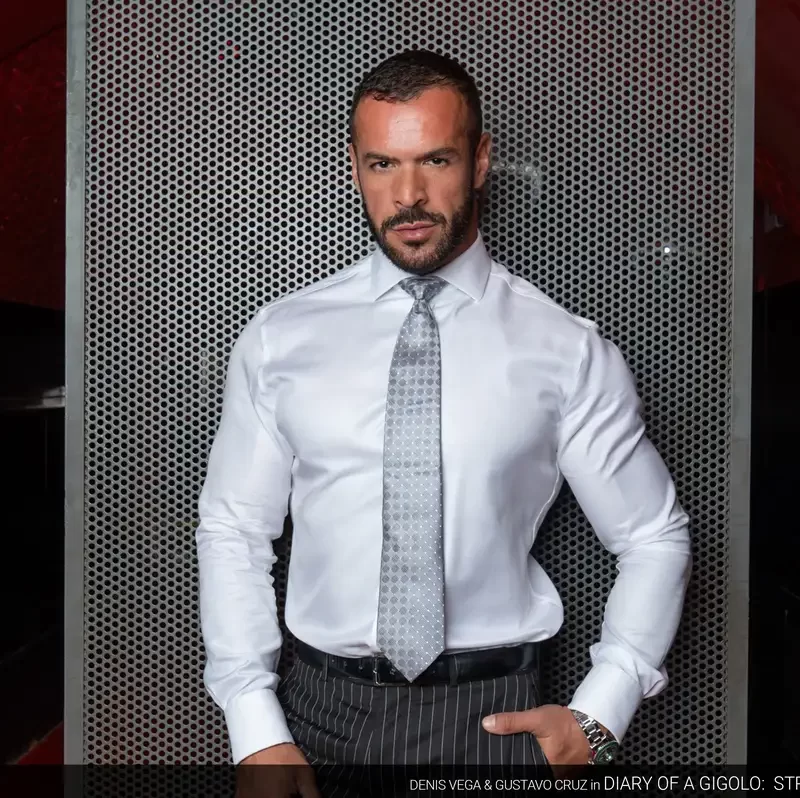 Diary of a Gigolo: Stripping - Denis Vega & Gustavo Cruz 1