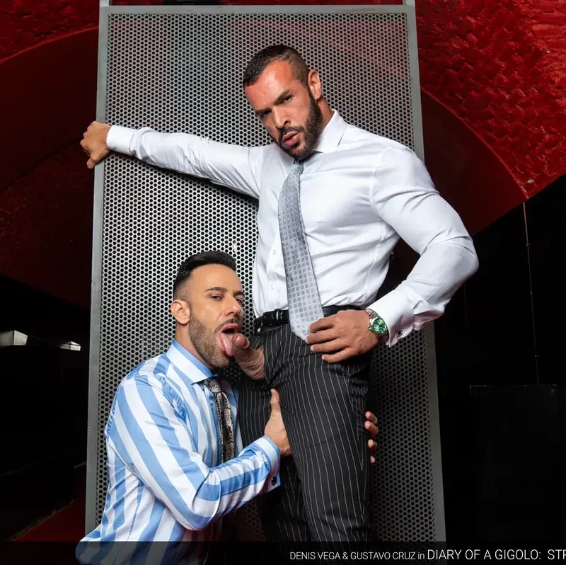Diary of a Gigolo: Stripping - Denis Vega & Gustavo Cruz 6