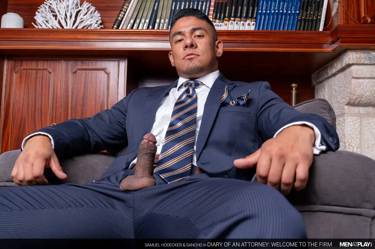 Diary of an Attorney – Part 1: Samuel Hodecker & Sancho 3