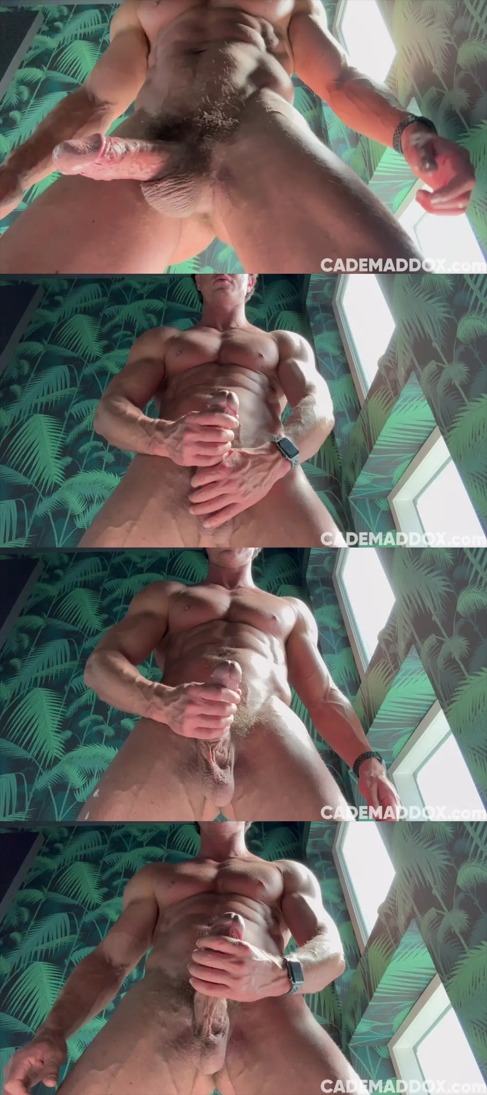 Get On Your Knees And Blow Cade Maddox