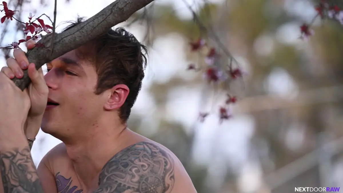 Jayden Marcos & Kane Fox Have Risky Sex In The Park 3