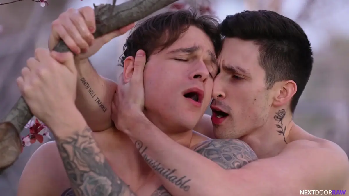 Jayden Marcos & Kane Fox Have Risky Sex In The Park Jayden Marcos & Kane Fox Have Risky Sex In The Park 5