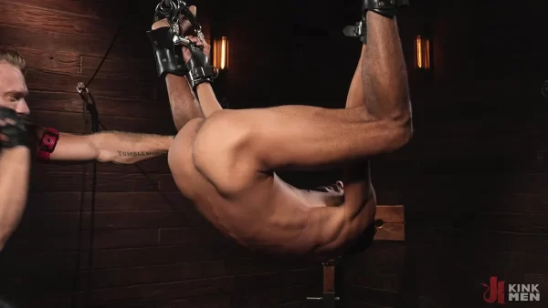 Master Brogan Uses The Best Sub - Apollo Fates Gay Porn 2