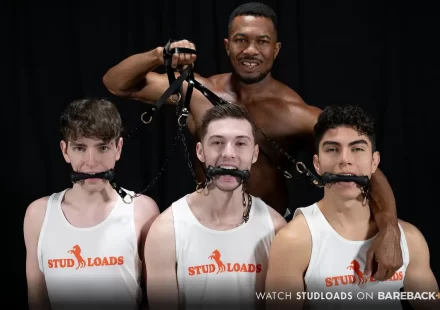 Stud Loads With Stable Master Sean Xavier & 3 New Mares Gay Porn