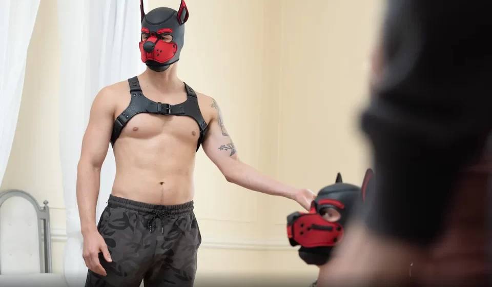 When Twinks Become Pack Animals: Carnal Plus Unleashes “Pup Play” When Twinks Become Pack Animals: Carnal Plus Unleashes "Pup Play" Gay Porn