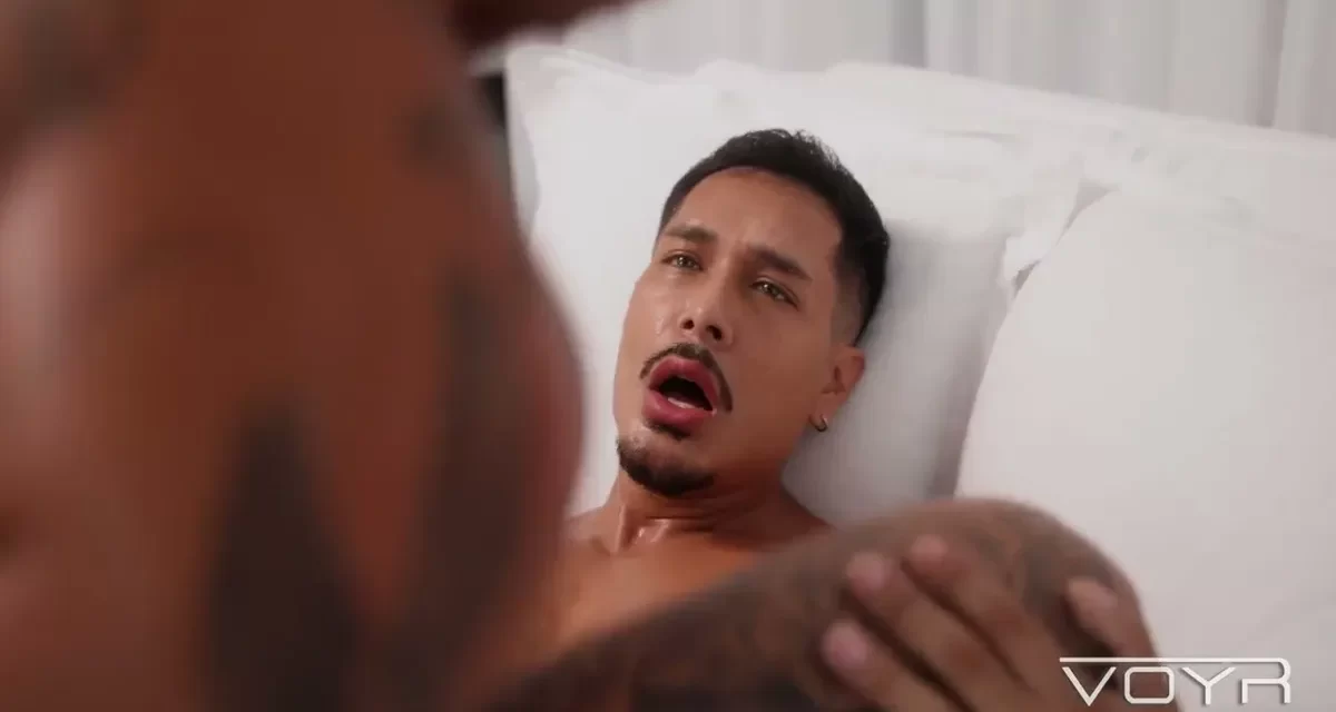 Joshua Makes Gato Vira Lata Scream For More! Gay Porn