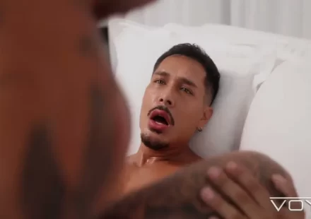 Joshua Makes Gato Vira Lata Scream For More! Gay Porn