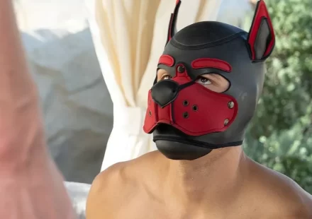 Jay Stryker & Lane Colten 's Poolside Alpha Pup Passion Gay Porn