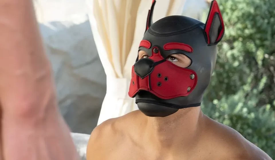 Jay Stryker & Lane Colten 's Poolside Alpha Pup Passion Gay Porn