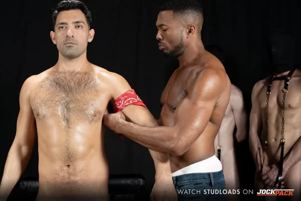 Sean Xavier's Stable: Raw Stallion Power at StudLoads Gay Porn 3