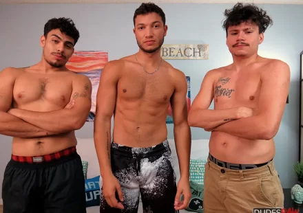 Threesome of Massive Meat: Bruce, Vincent & Chris Threesome of Massive Meat: Bruce, Vincent & Chris Gay Porn