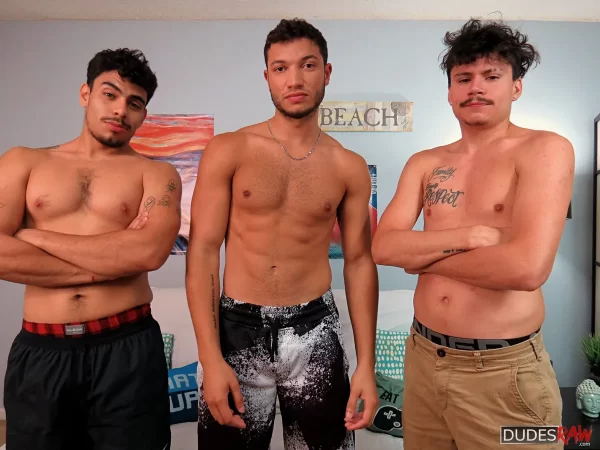 Threesome of Massive Meat: Bruce, Vincent & Chris Gay Porn