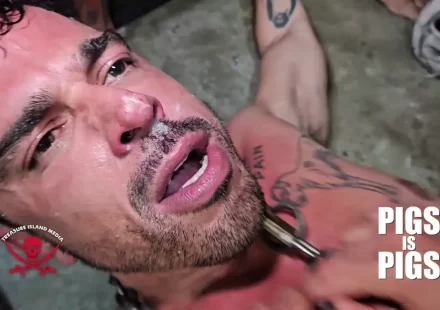 Pigs Is Pigs: Jimmy The Inked Pig Gets the Brazilian Bang Gay Porn
