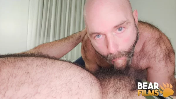 Bare Ranger & Blueheeler Turn Couch Talk Into Bear Flip Fuck Gay Porn 8