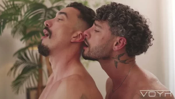 Fernando Dias Plows Wallace Paes Bareback on VOYR 22 Fernando Dias Plows Wallace Paes Bareback on VOYR Gay Porn